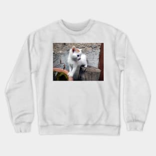 Little cute cat Crewneck Sweatshirt